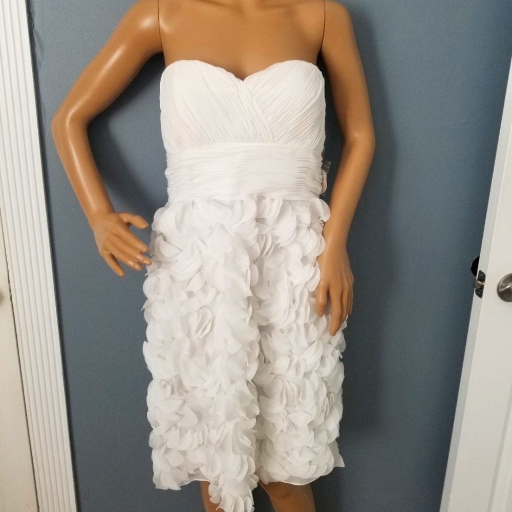 NWT JS Collection Strapless Dress Size 10